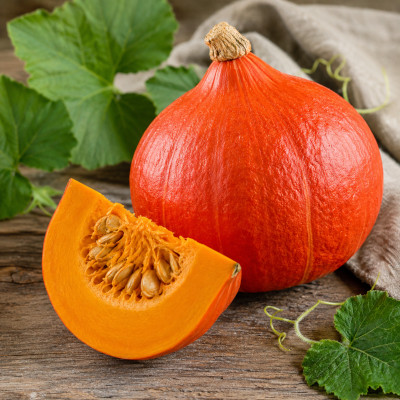 Hokkaido Kürbis